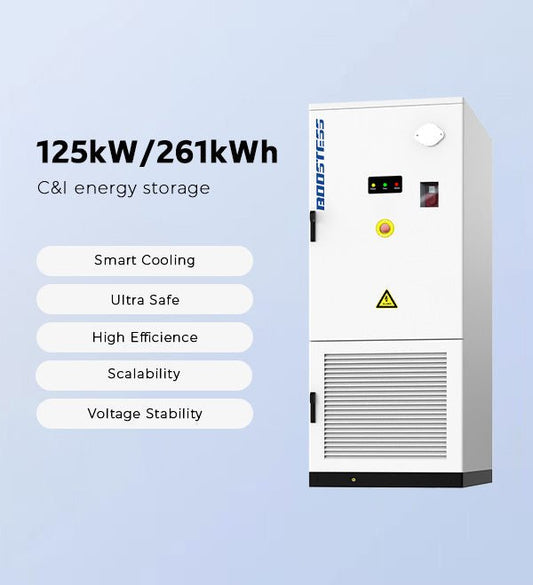 125kW/261kWh BESS C&I Energy Solutions - Solar Charging Battery